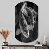 Monochrome Koi Fish - Asymmetric Metal Wall Art