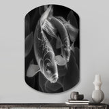 Monochrome Koi Fish - Asymmetric Metal Wall Art