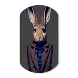 Fancy Rabbit In A Gray And Blue Suit - Asymmetric Metal Wall Art