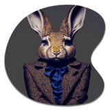 Fancy Rabbit In A Gray And Blue Suit - Asymmetric Metal Wall Art