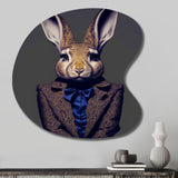 Fancy Rabbit In A Gray And Blue Suit - Asymmetric Metal Wall Art