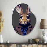 Fancy Rabbit In A Gray And Blue Suit - Asymmetric Metal Wall Art