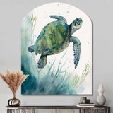 Watercolor Turtle Swimming II - Asymmetric Metal Wall Art