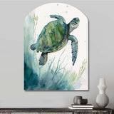 Watercolor Turtle Swimming II - Asymmetric Metal Wall Art