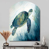 Watercolor Turtle Swimming III - Asymmetric Metal Wall Art