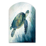 Watercolor Turtle Swimming III - Asymmetric Metal Wall Art