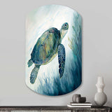 Watercolor Turtle Swimming III - Asymmetric Metal Wall Art