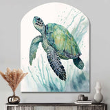 Watercolor Turtle Swimming IV - Asymmetric Metal Wall Art