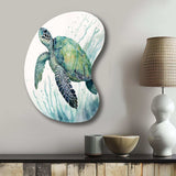 Watercolor Turtle Swimming IV - Asymmetric Metal Wall Art