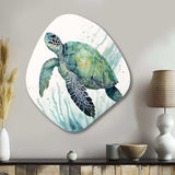 Watercolor Turtle Swimming IV - Asymmetric Metal Wall Art