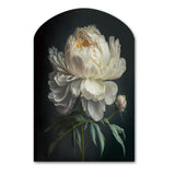 Blooming White Peony V - Asymmetric Metal Wall Art