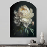 Blooming White Peony V - Asymmetric Metal Wall Art