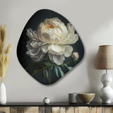 Blooming White Peony V - Asymmetric Metal Wall Art