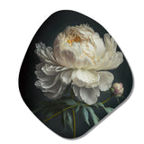 Blooming White Peony V - Asymmetric Metal Wall Art