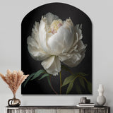 Blooming White Peony VI - Asymmetric Metal Wall Art