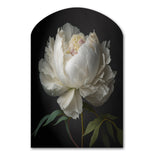 Blooming White Peony VI - Asymmetric Metal Wall Art