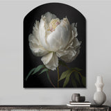 Blooming White Peony VI - Asymmetric Metal Wall Art