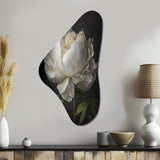 Blooming White Peony VI - Asymmetric Metal Wall Art