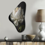 Blooming White Peony VI - Asymmetric Metal Wall Art