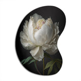 Blooming White Peony VI - Asymmetric Metal Wall Art