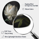 Blooming White Peony VI - Asymmetric Metal Wall Art