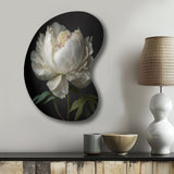 Blooming White Peony VI - Asymmetric Metal Wall Art