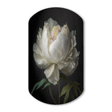 Blooming White Peony VI - Asymmetric Metal Wall Art