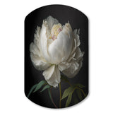 Blooming White Peony VI - Asymmetric Metal Wall Art