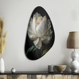 Blooming White Peony VI - Asymmetric Metal Wall Art