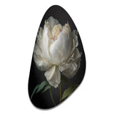 Blooming White Peony VI - Asymmetric Metal Wall Art