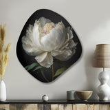 Blooming White Peony VI - Asymmetric Metal Wall Art