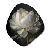 Blooming White Peony VI - Asymmetric Metal Wall Art