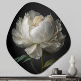 Blooming White Peony VI - Asymmetric Metal Wall Art