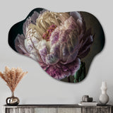 Blossoming Pink And White Peony II - Asymmetric Metal Wall Art