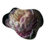 Blossoming Pink And White Peony II - Asymmetric Metal Wall Art