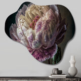 Blossoming Pink And White Peony II - Asymmetric Metal Wall Art