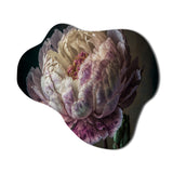 Blossoming Pink And White Peony II - Asymmetric Metal Wall Art