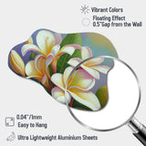 White And Yellow Blossoming Plumeria III - Asymmetric Metal Wall Art