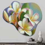 White And Yellow Blossoming Plumeria III - Asymmetric Metal Wall Art