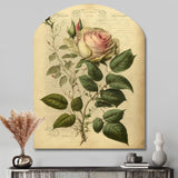 Victorian Retro Pink Rose V - Asymmetric Metal Wall Art