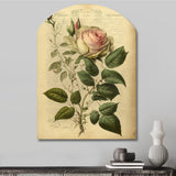 Victorian Retro Pink Rose V - Asymmetric Metal Wall Art