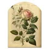 Victorian Retro Pink Rose V - Asymmetric Metal Wall Art