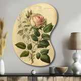 Victorian Retro Pink Rose V - Asymmetric Metal Wall Art