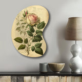 Victorian Retro Pink Rose V - Asymmetric Metal Wall Art