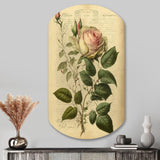 Victorian Retro Pink Rose V - Asymmetric Metal Wall Art