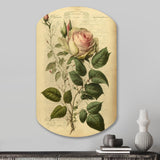 Victorian Retro Pink Rose V - Asymmetric Metal Wall Art