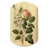 Victorian Retro Pink Rose V - Asymmetric Metal Wall Art