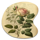 Victorian Retro Pink Rose V - Asymmetric Metal Wall Art