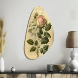 Victorian Retro Pink Rose V - Asymmetric Metal Wall Art