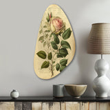 Victorian Retro Pink Rose V - Asymmetric Metal Wall Art